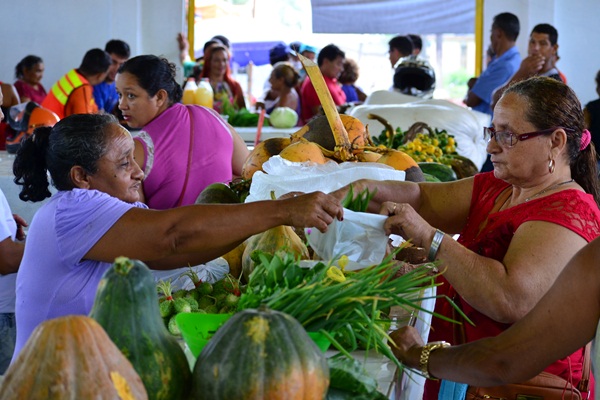 Feira do agricultor familiar e feira do peixe